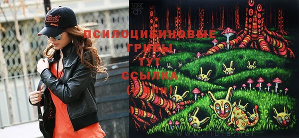 крисы Беломорск