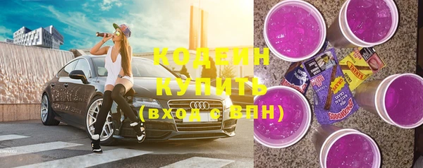 дмт Протвино