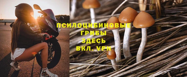крисы Богородск