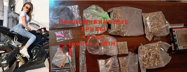 гашик Богородицк