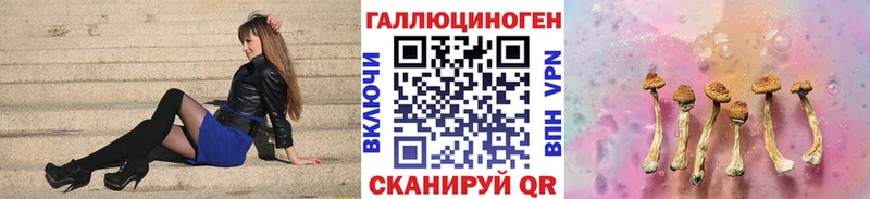 закладка  Жуков  Псилоцибиновые грибы ЛСД 
